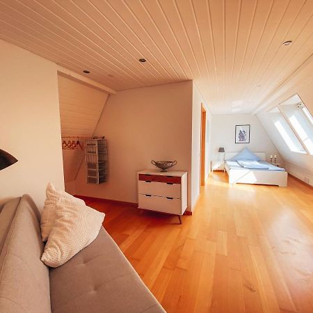 Rheinloft 3 - Grosse Giebelwohnung Mit Dachterrassen An Der Rheinpromenade 엠메리흐 외부 사진