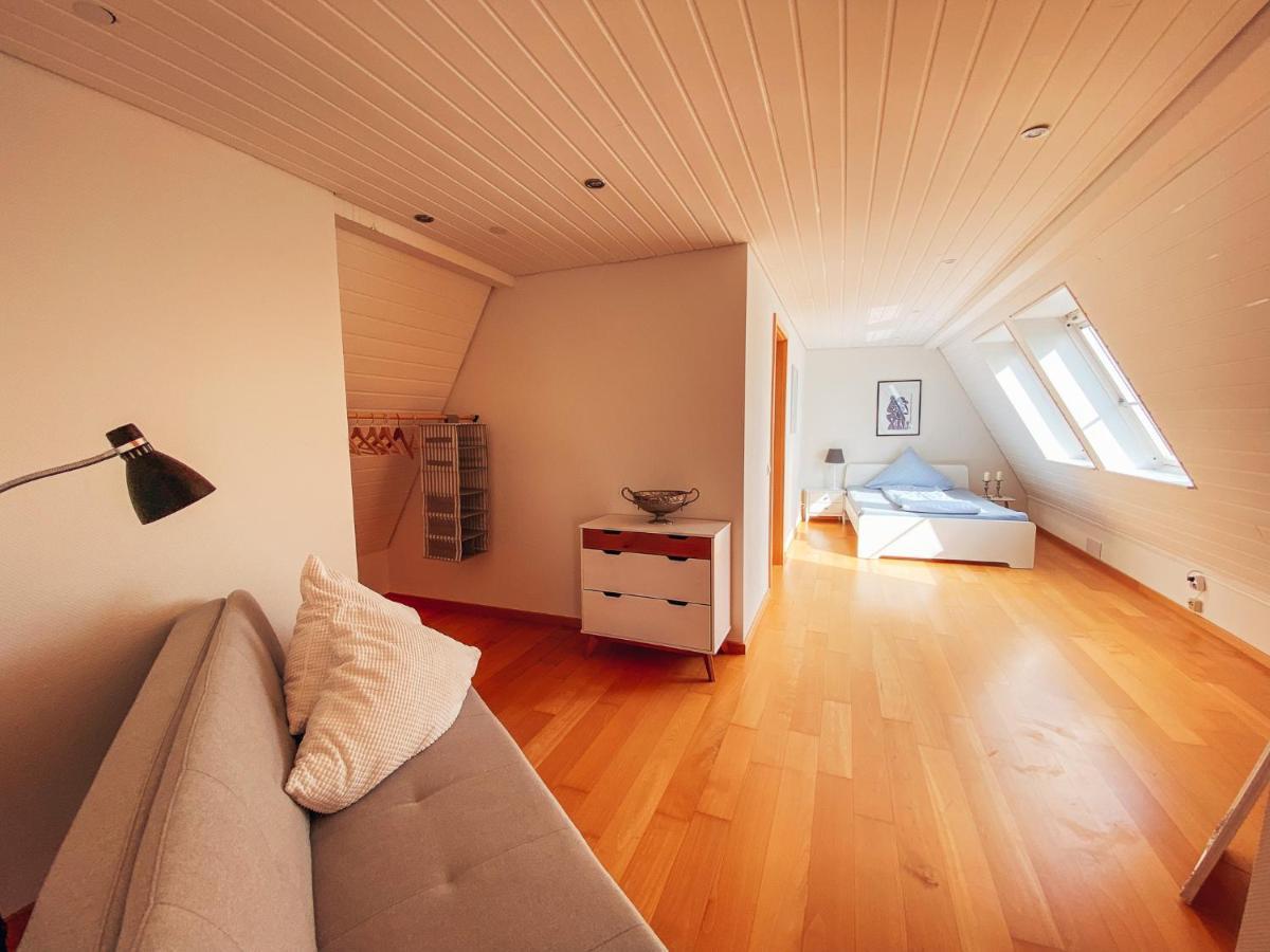 Rheinloft 3 - Grosse Giebelwohnung Mit Dachterrassen An Der Rheinpromenade 엠메리흐 외부 사진